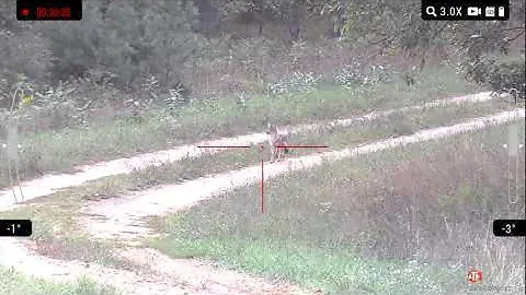1st hunt with the new ATN LTV optic